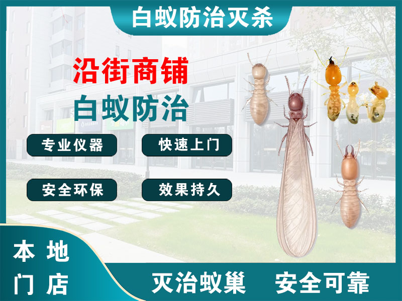 上虞区沿街商铺白蚁防治