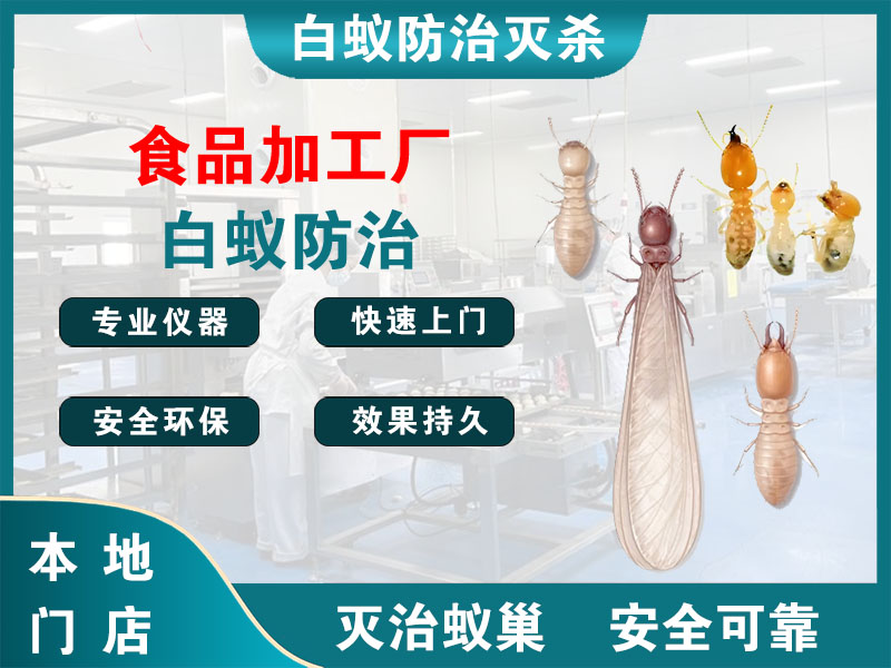 上虞区食品加工厂白蚁防治