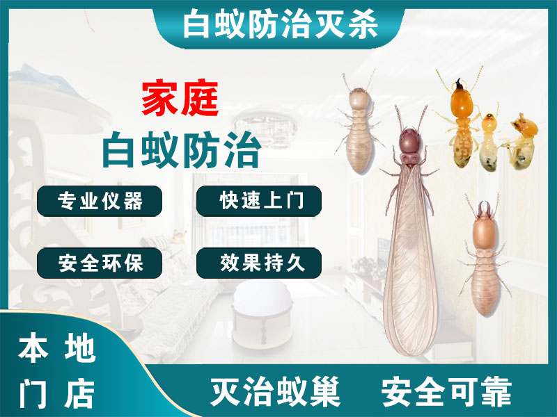 上虞区家庭白蚁防治