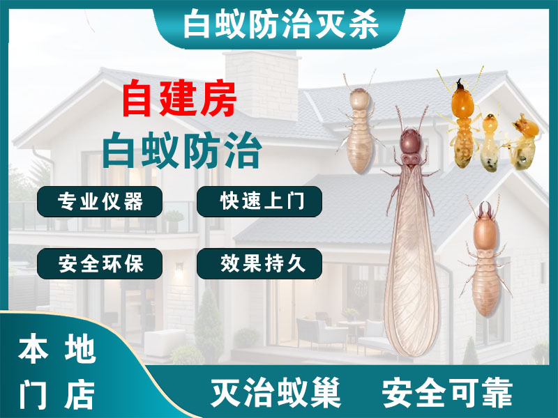 上虞区自建房白蚁防治
