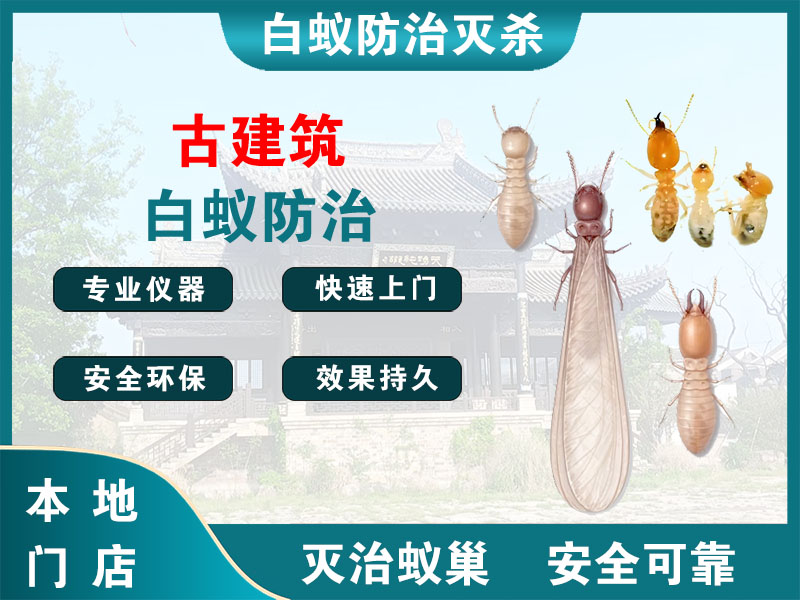 上虞区古建筑白蚁防治