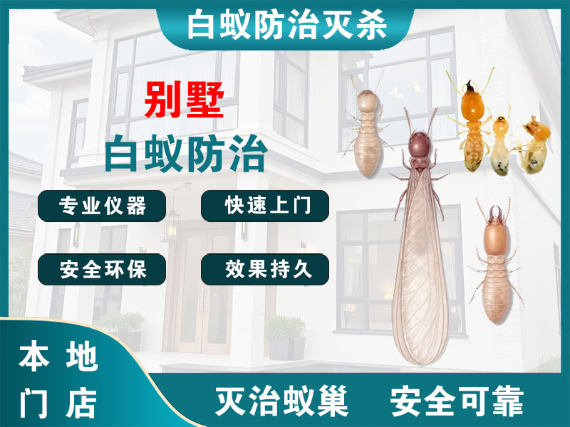 上虞区别墅白蚁防治